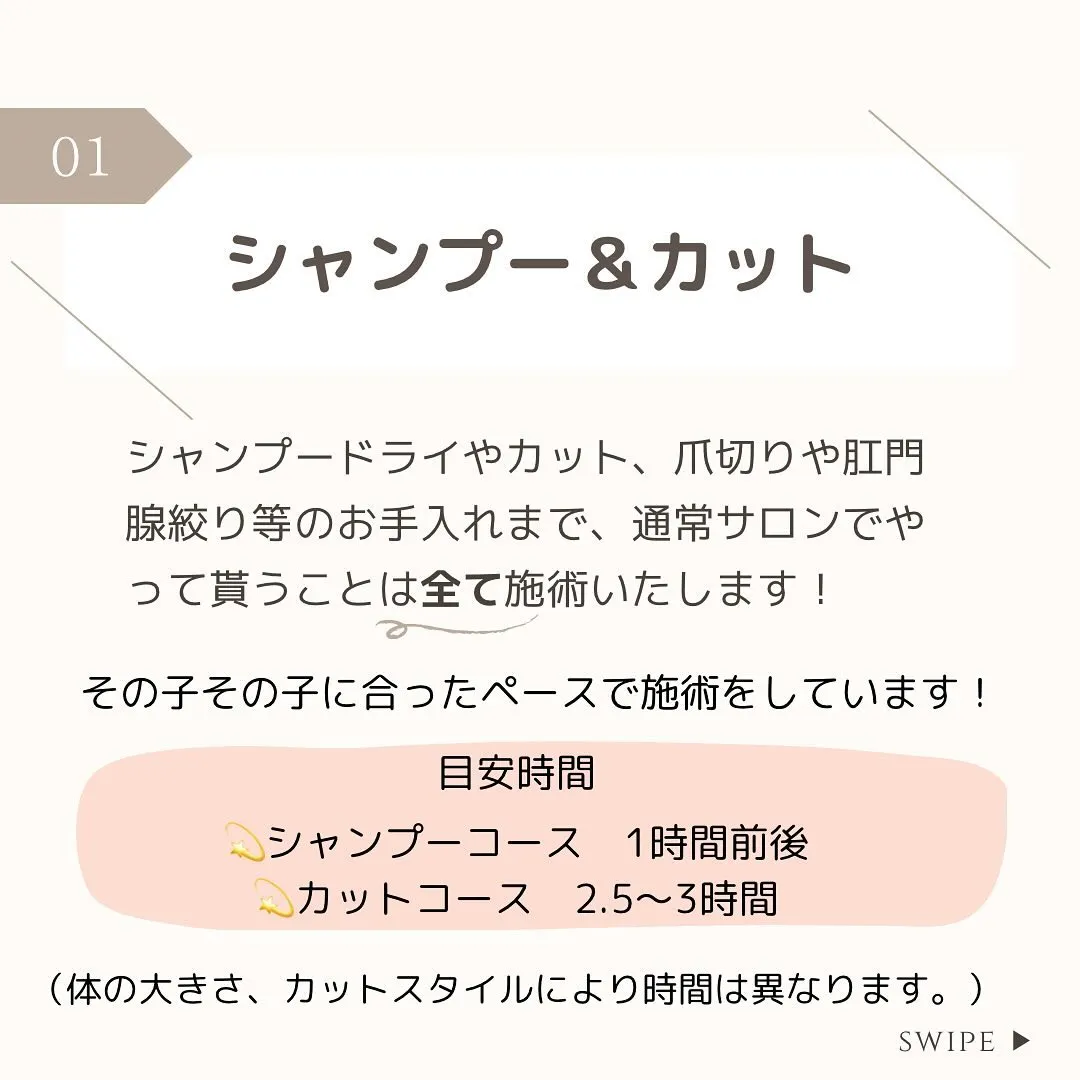 【出張・訪問トリミングについて✍️💭】