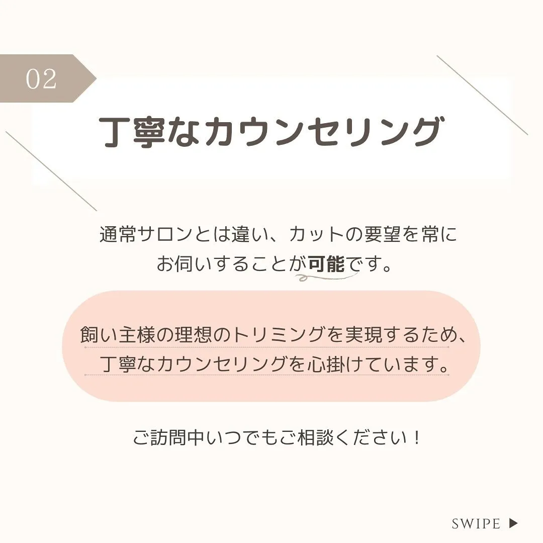 【出張・訪問トリミングについて✍️💭】