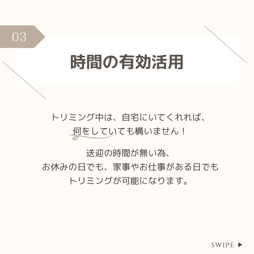 【出張・訪問トリミングについて✍️💭】