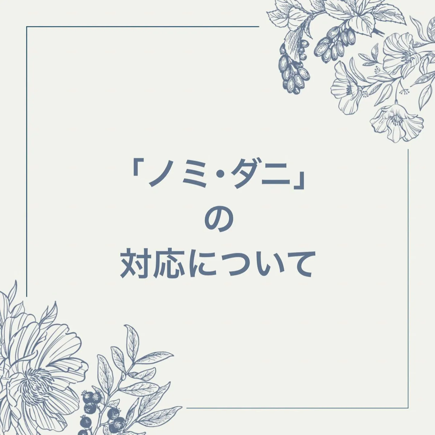 ノミ･ダニについてのお知らせ- ̗̀📣