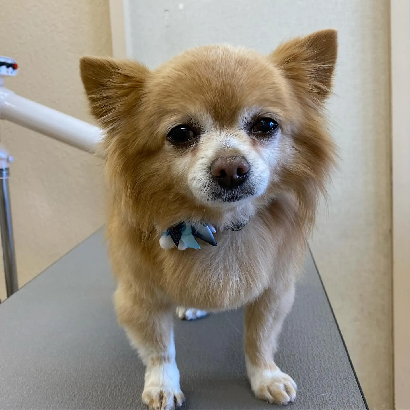 ジャックくん💞