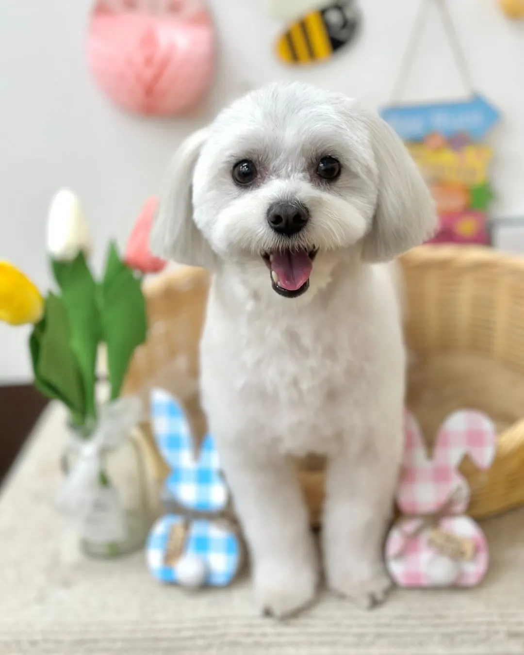 ナッツちゃん🥜☁️