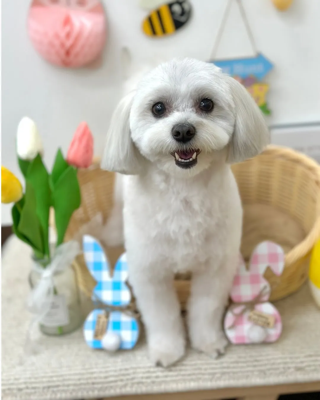 ナッツちゃん🥜☁️