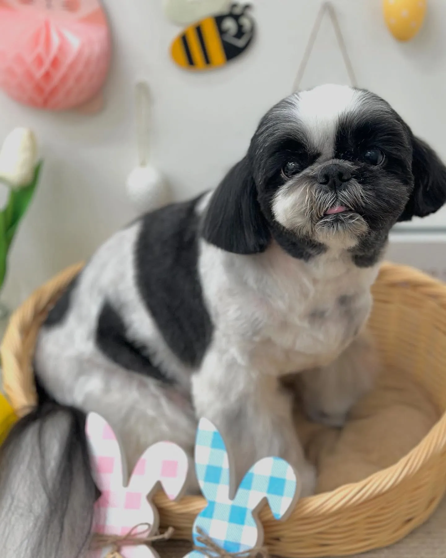 カイちゃん⚓️🫧