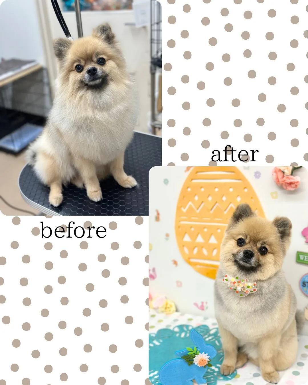 🐣くまちゃん🐣