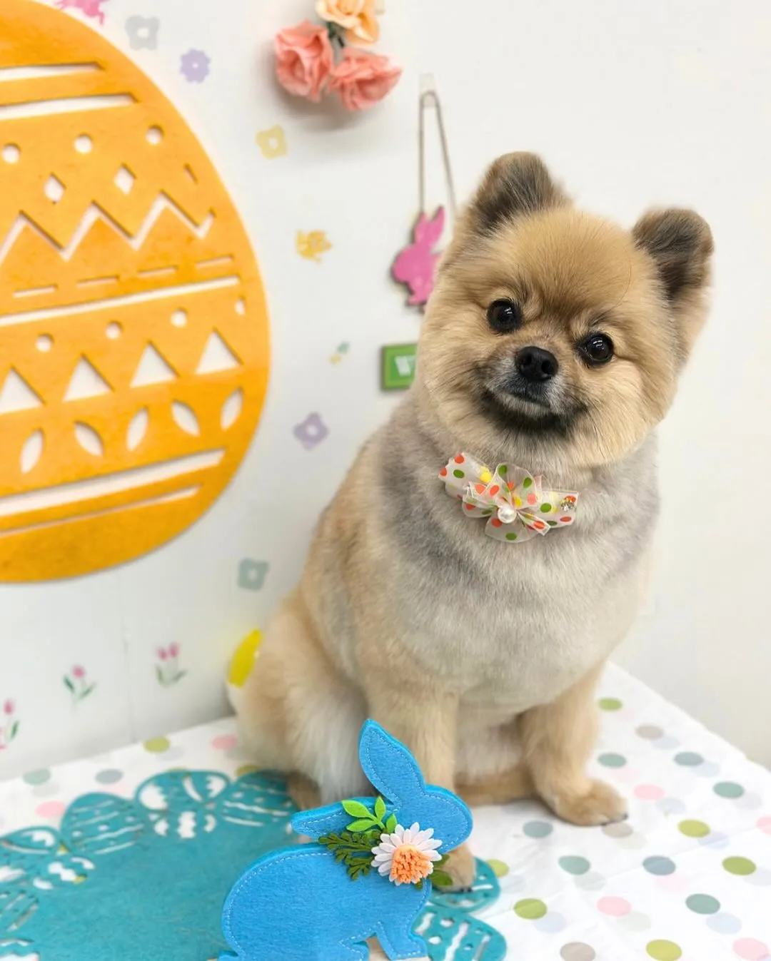 🐣くまちゃん🐣