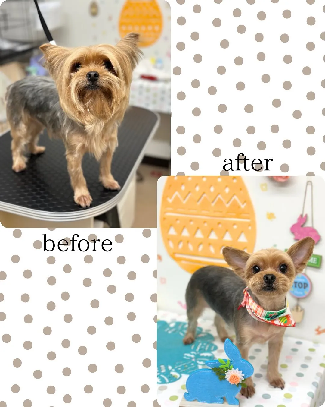 🐣れいくん🐣