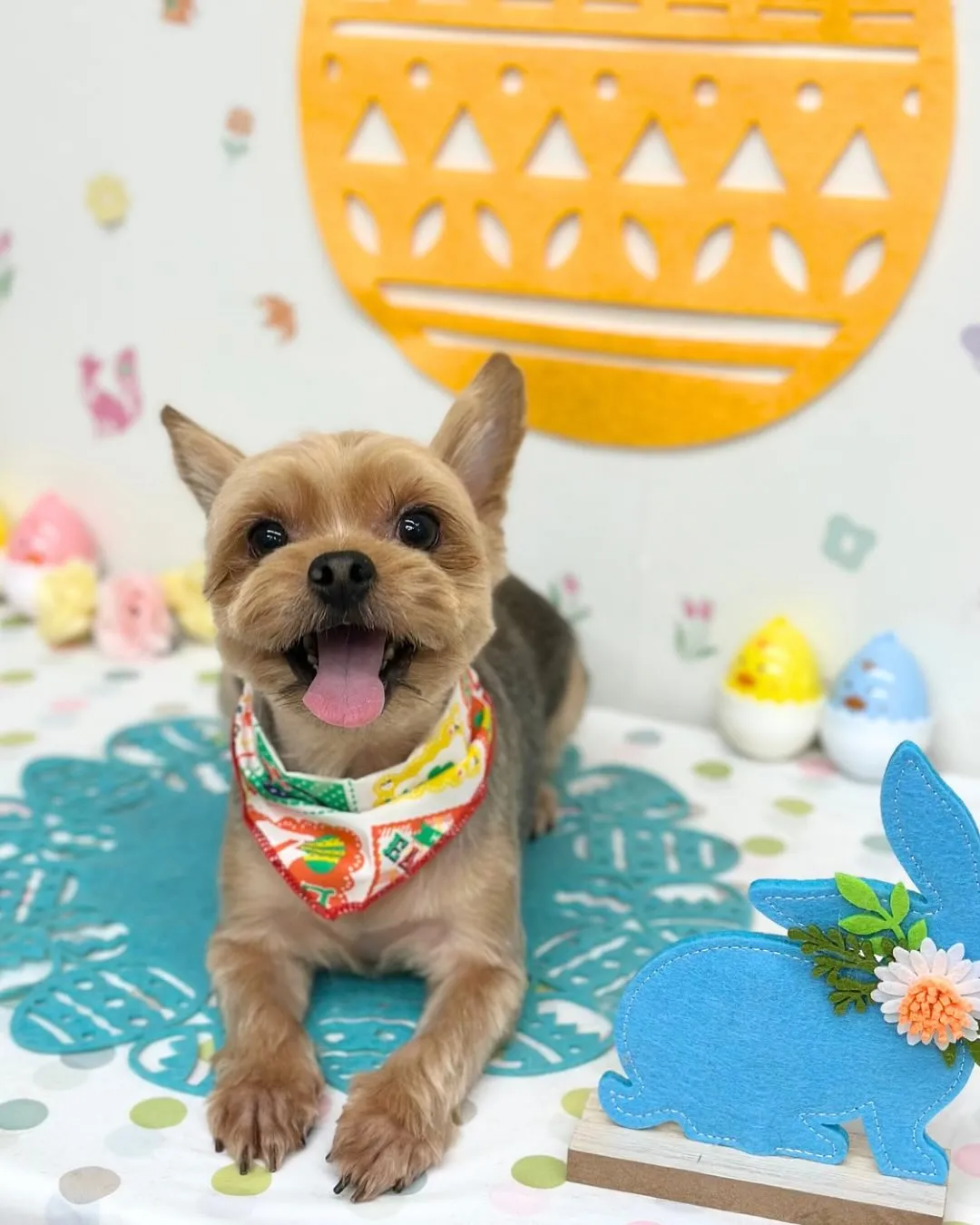 🐣れいくん🐣