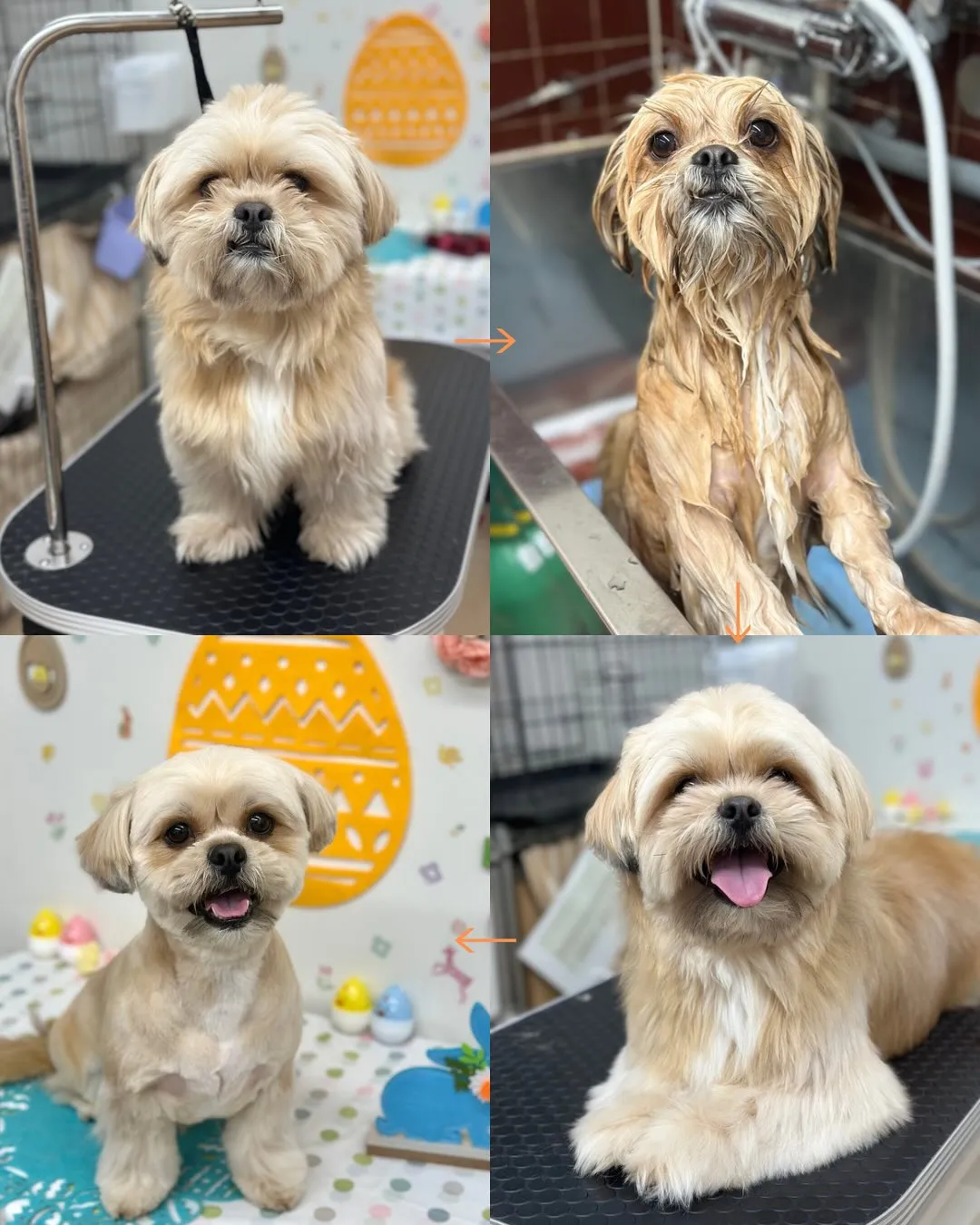 🐣べあくん🐣