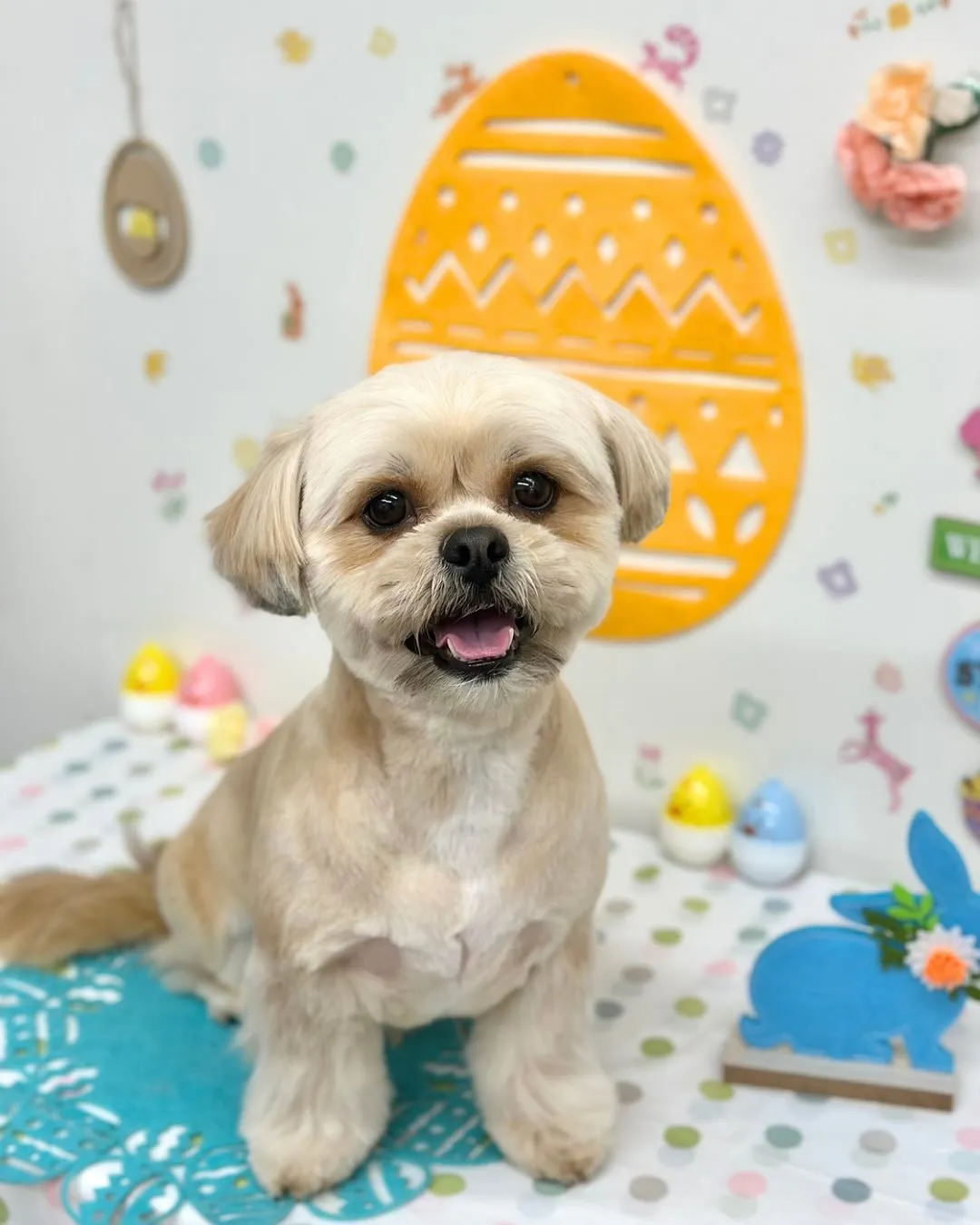 🐣べあくん🐣