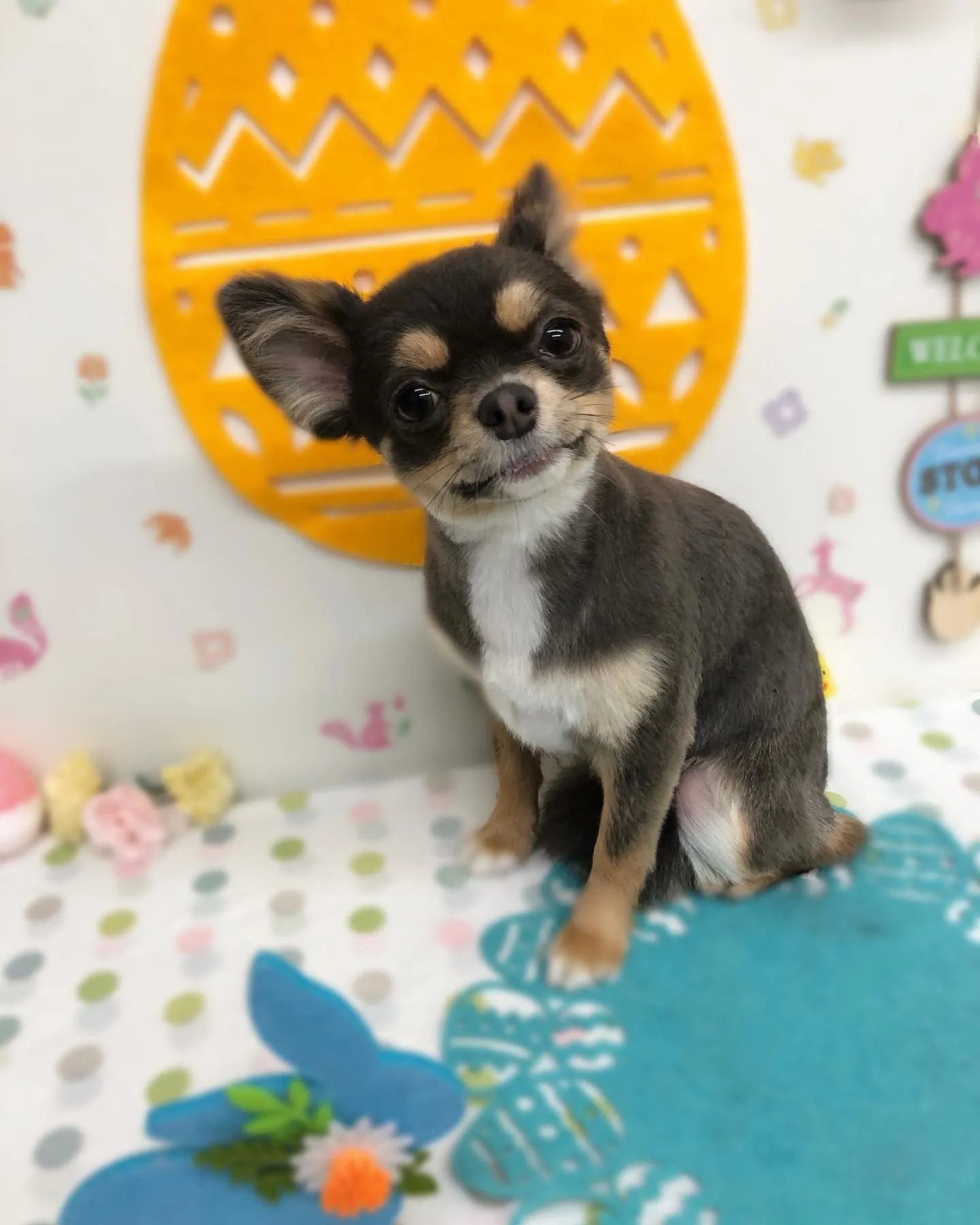 パインちゃん🌷♡