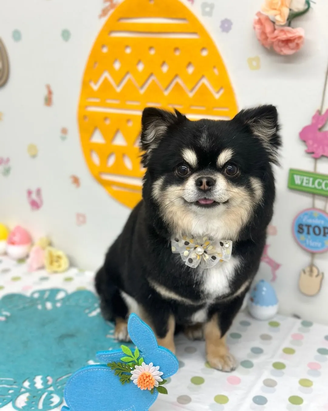 🐣りんくん🐣