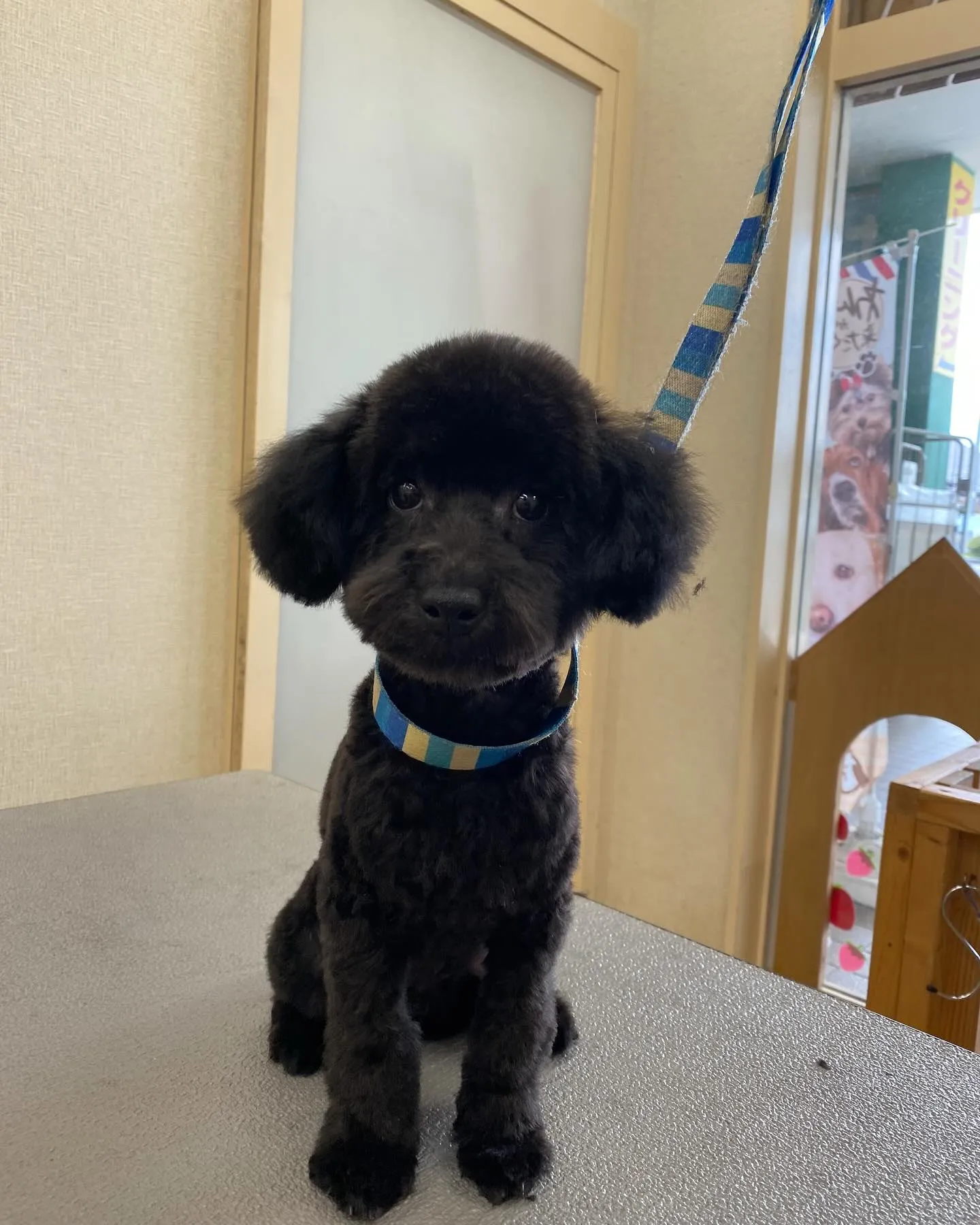 クロちゃん🍓✨