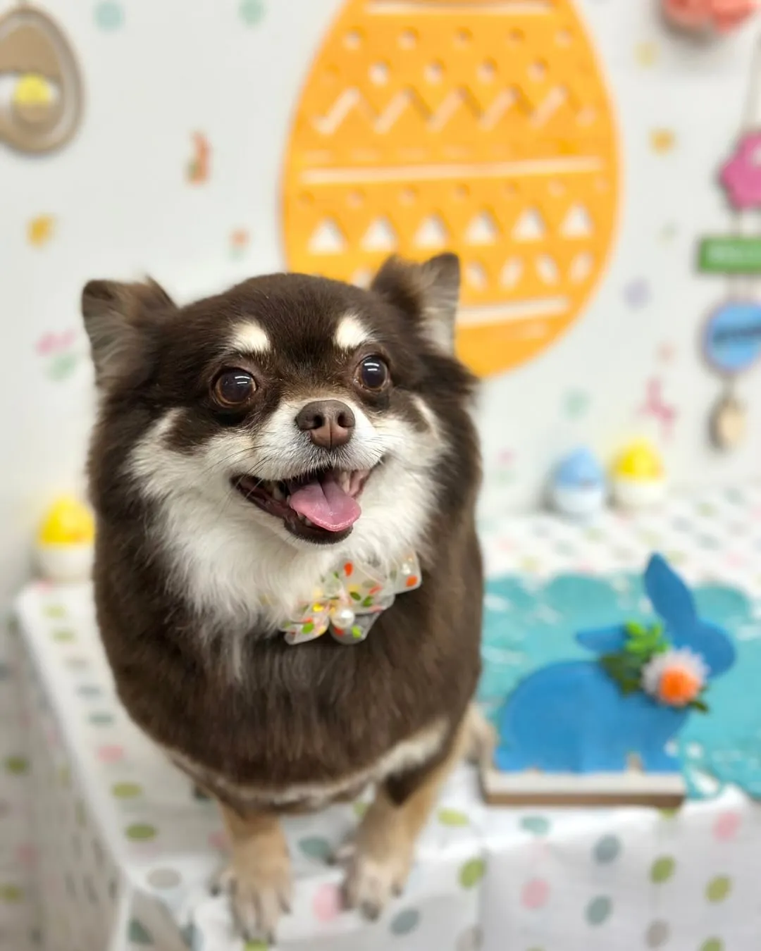 🐣ちっこいちゃん・まことちゃん🐣