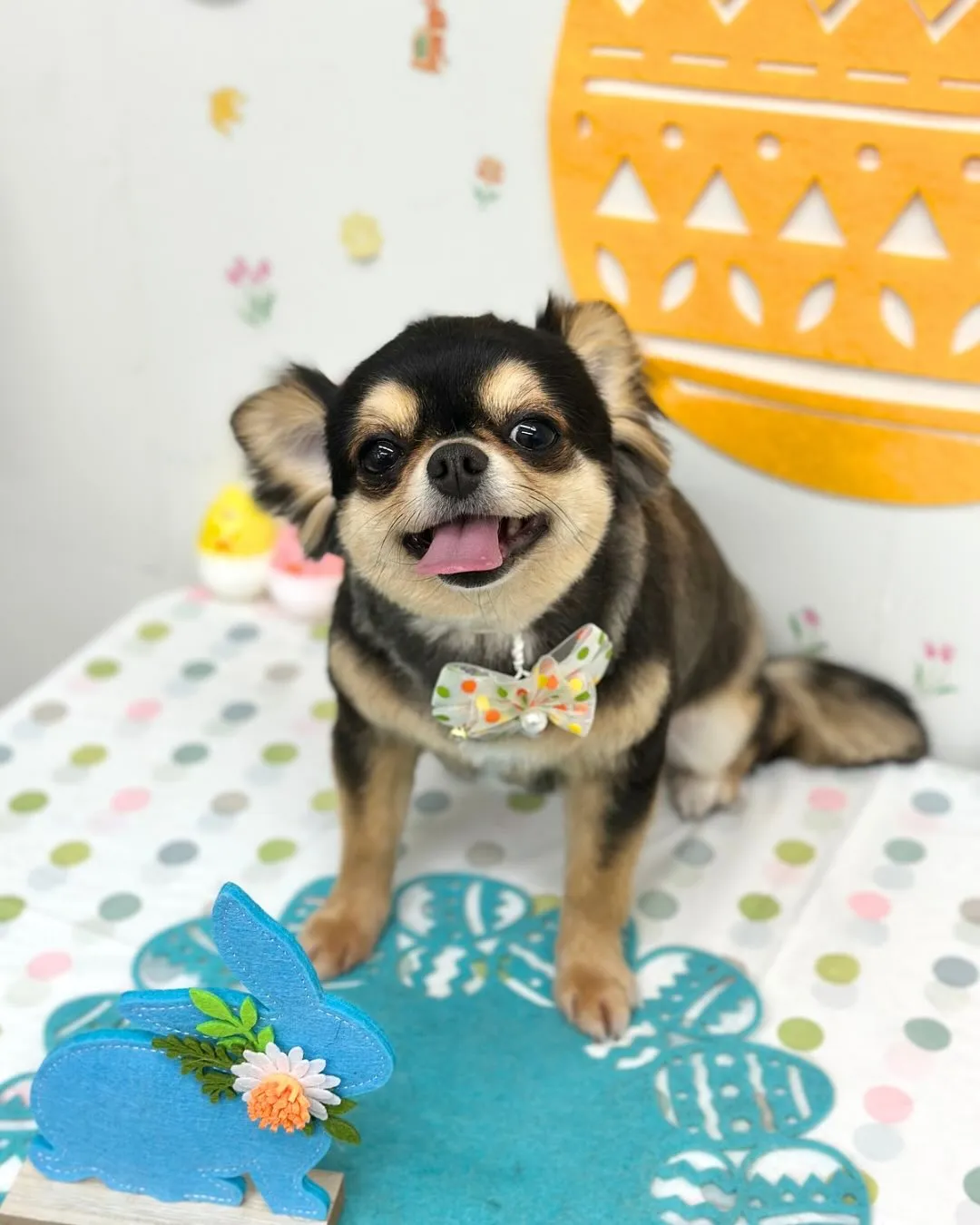 🐣ちっこいちゃん・まことちゃん🐣