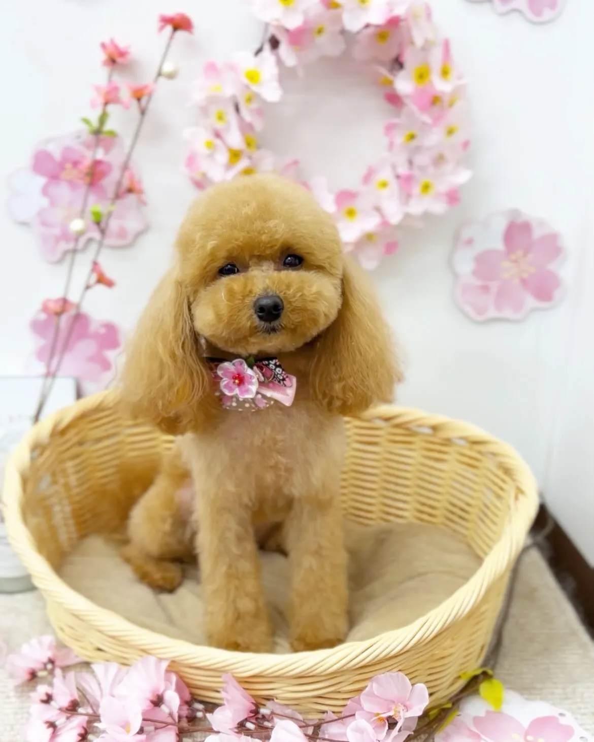 わたさん︎💕︎