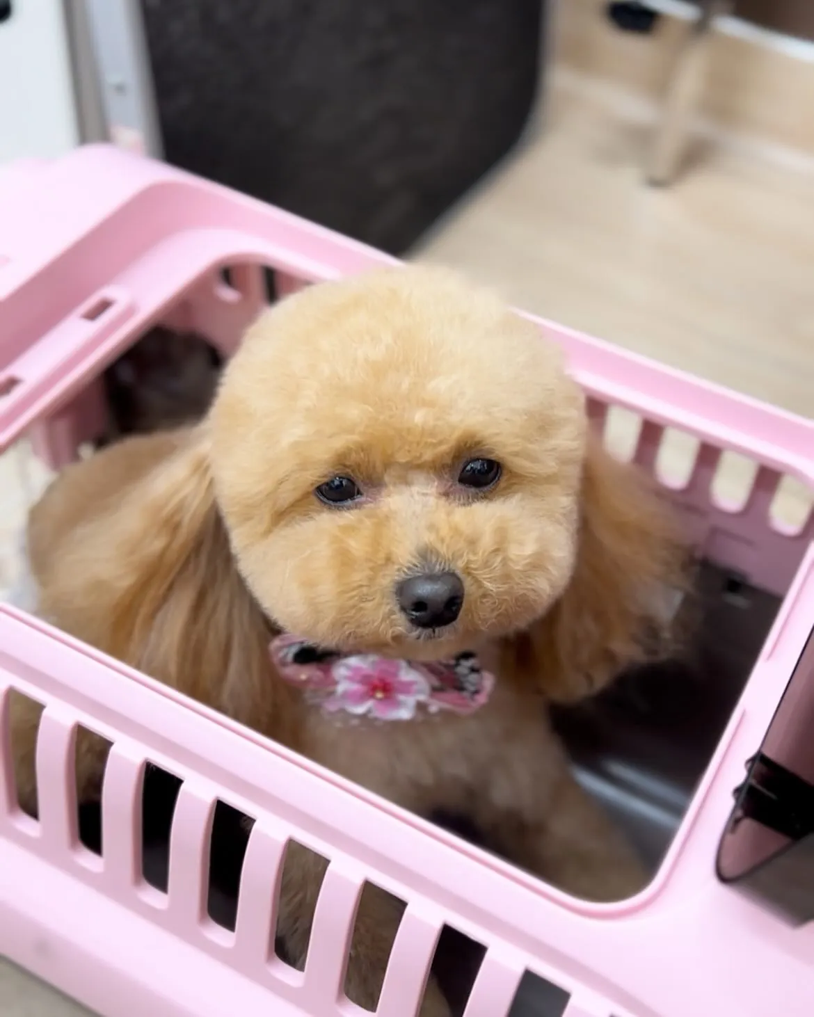 わたさん︎💕︎