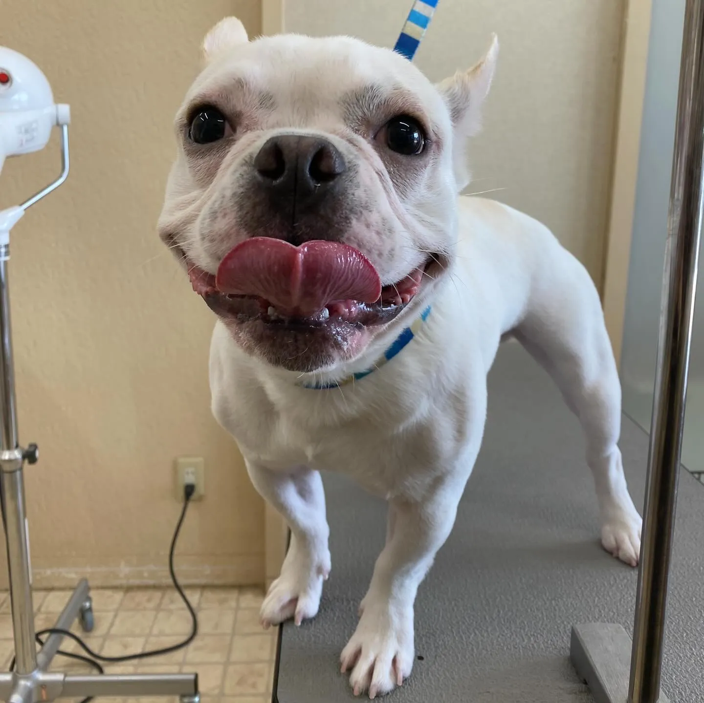 まるちゃん🍓✨