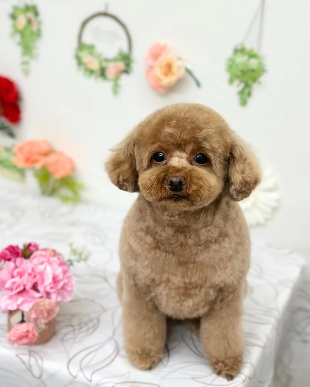 🍀ここちゃん･なぎくん🍀