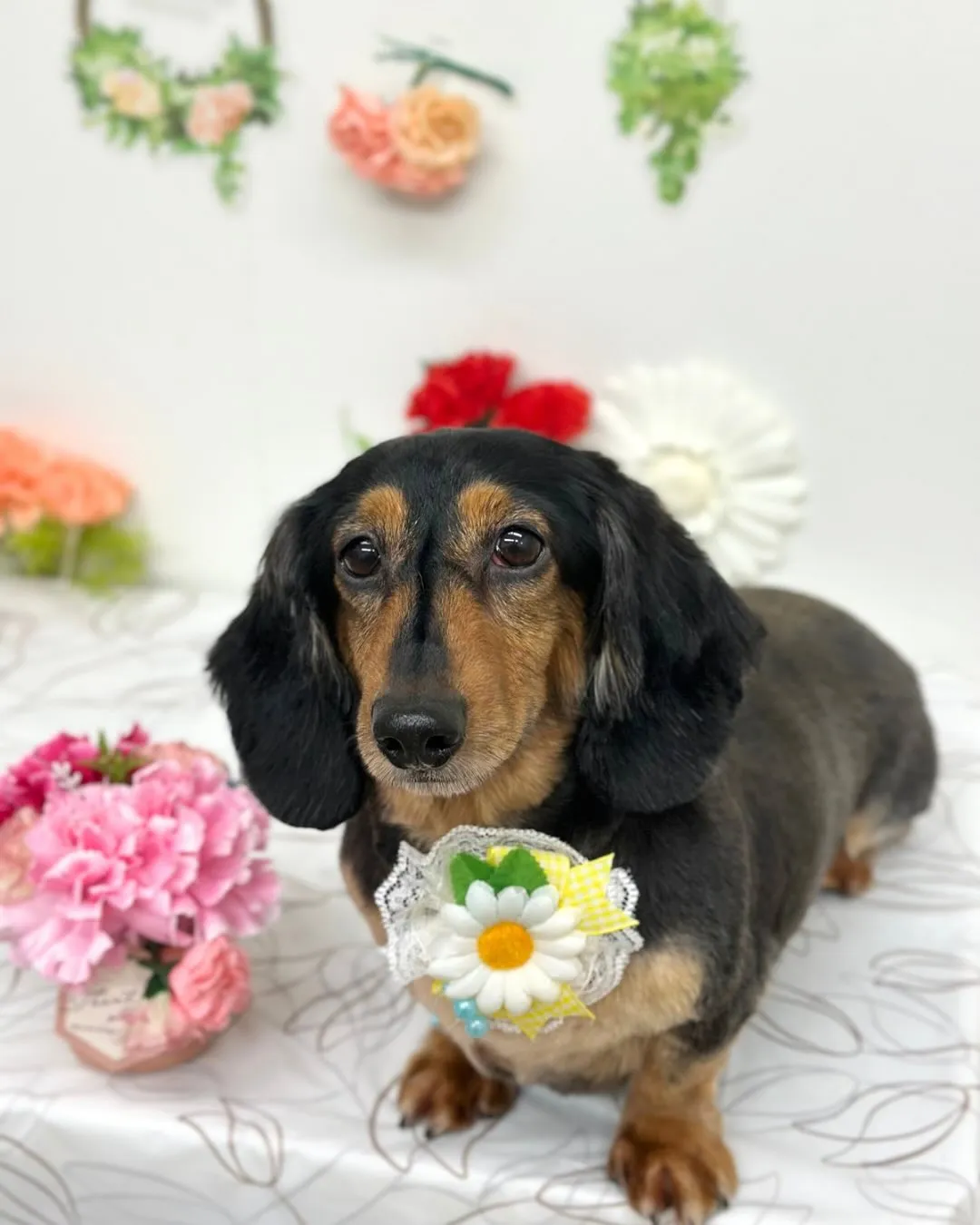 🍀らいとくん🍀