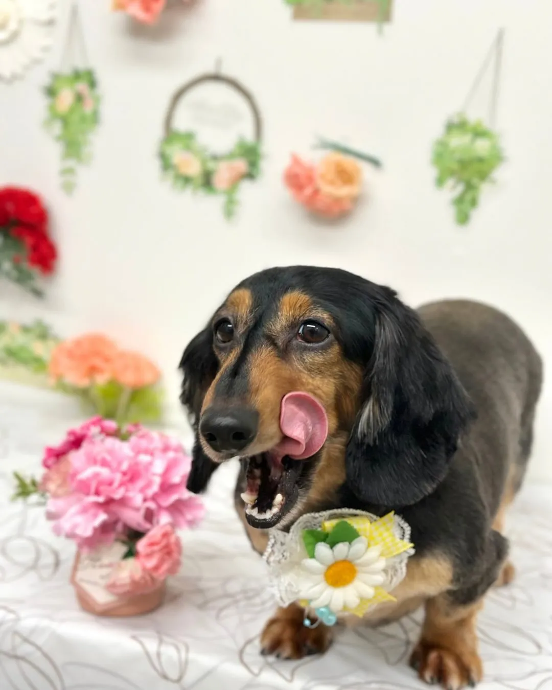 🍀らいとくん🍀