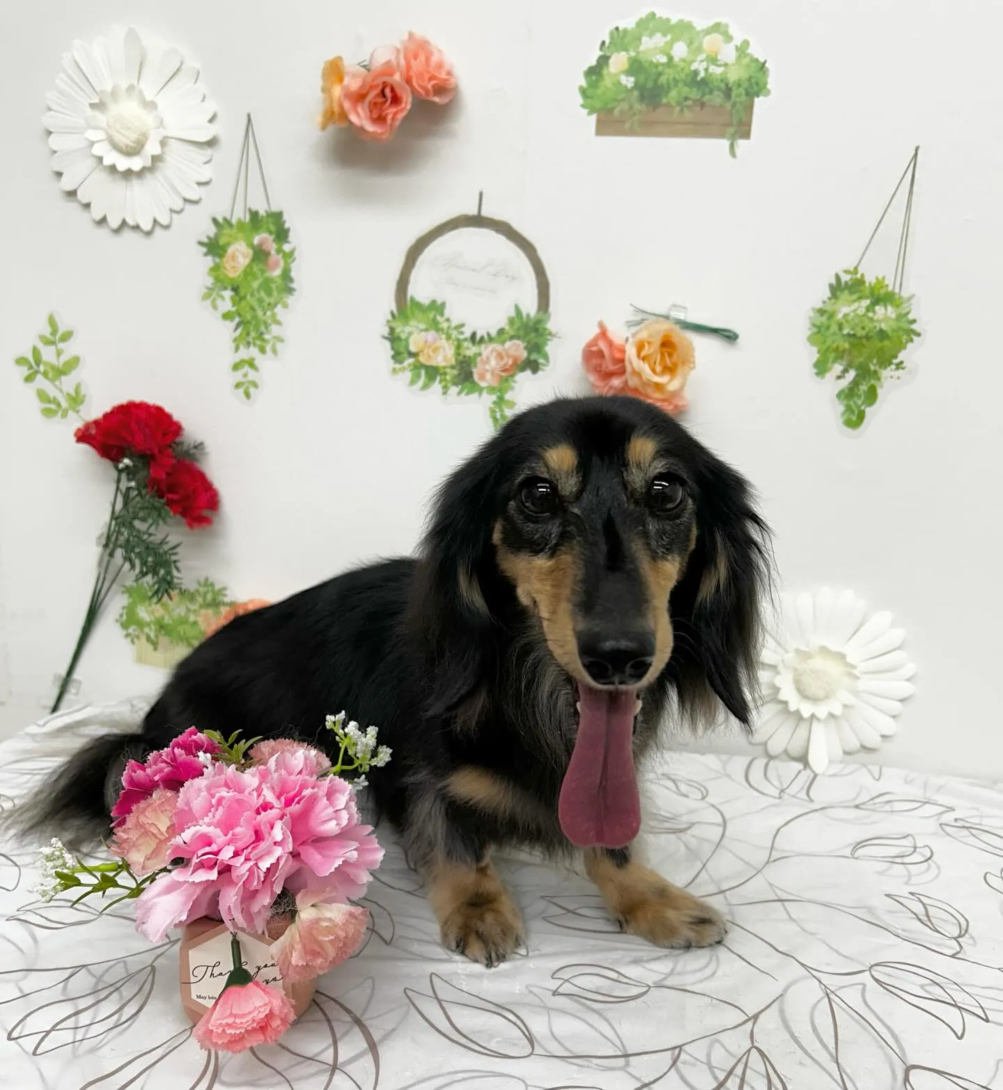 ココアちゃん︎💕︎