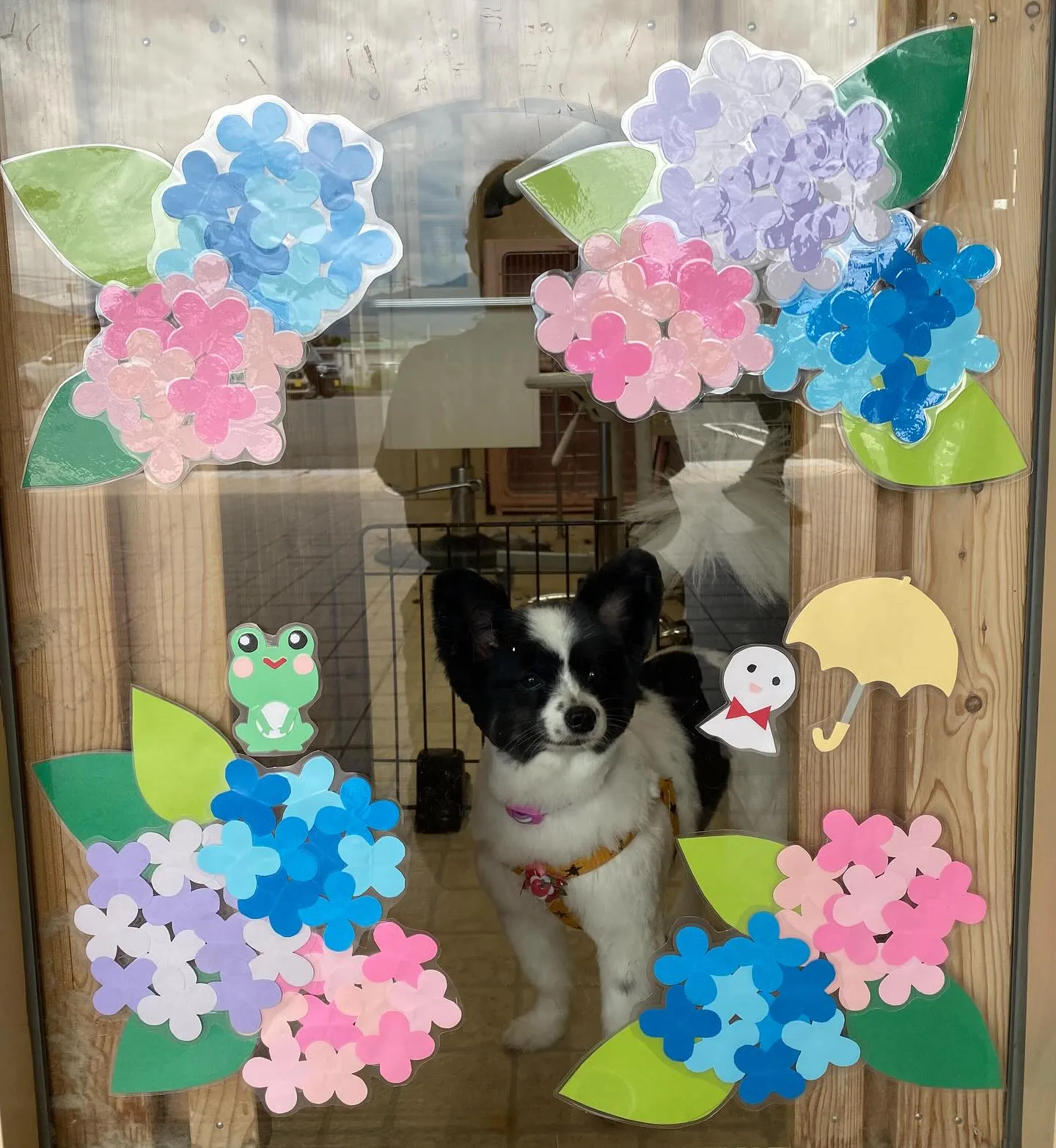 フォトブースが今日から新しくなりました🌈📸