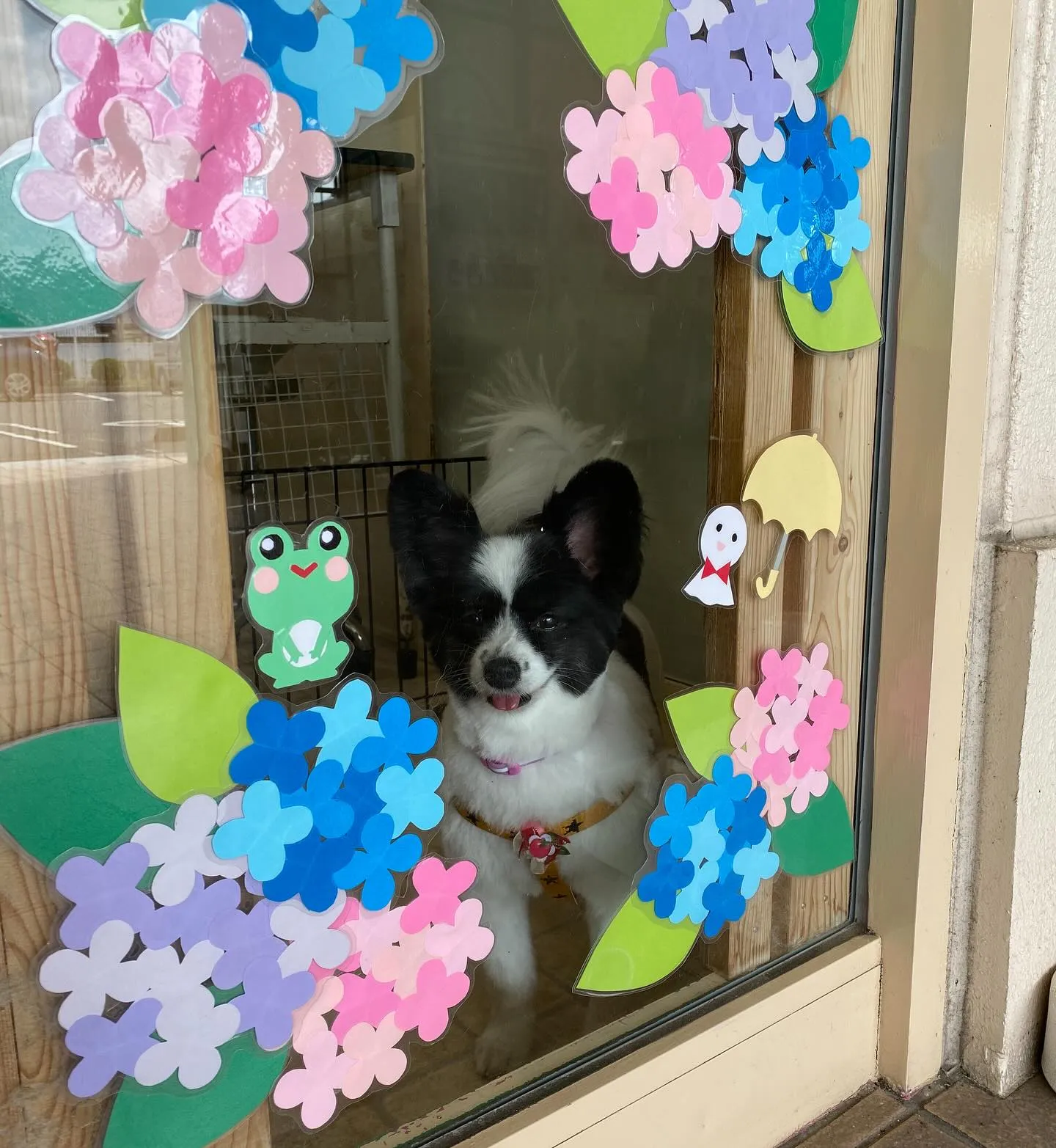 フォトブースが今日から新しくなりました🌈📸