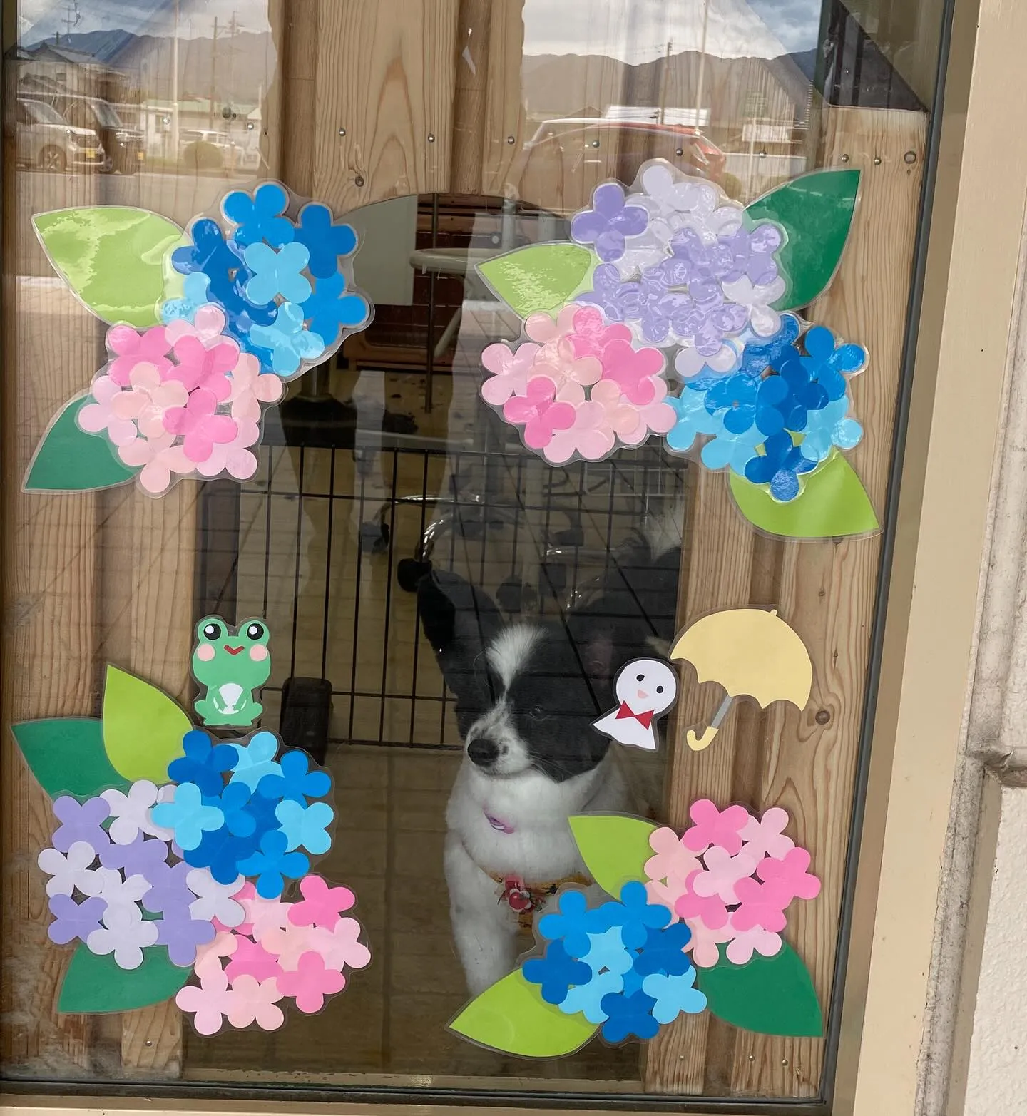 フォトブースが今日から新しくなりました🌈📸