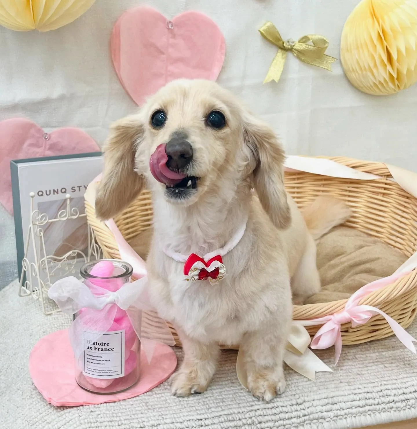 さくらちゃん🌸