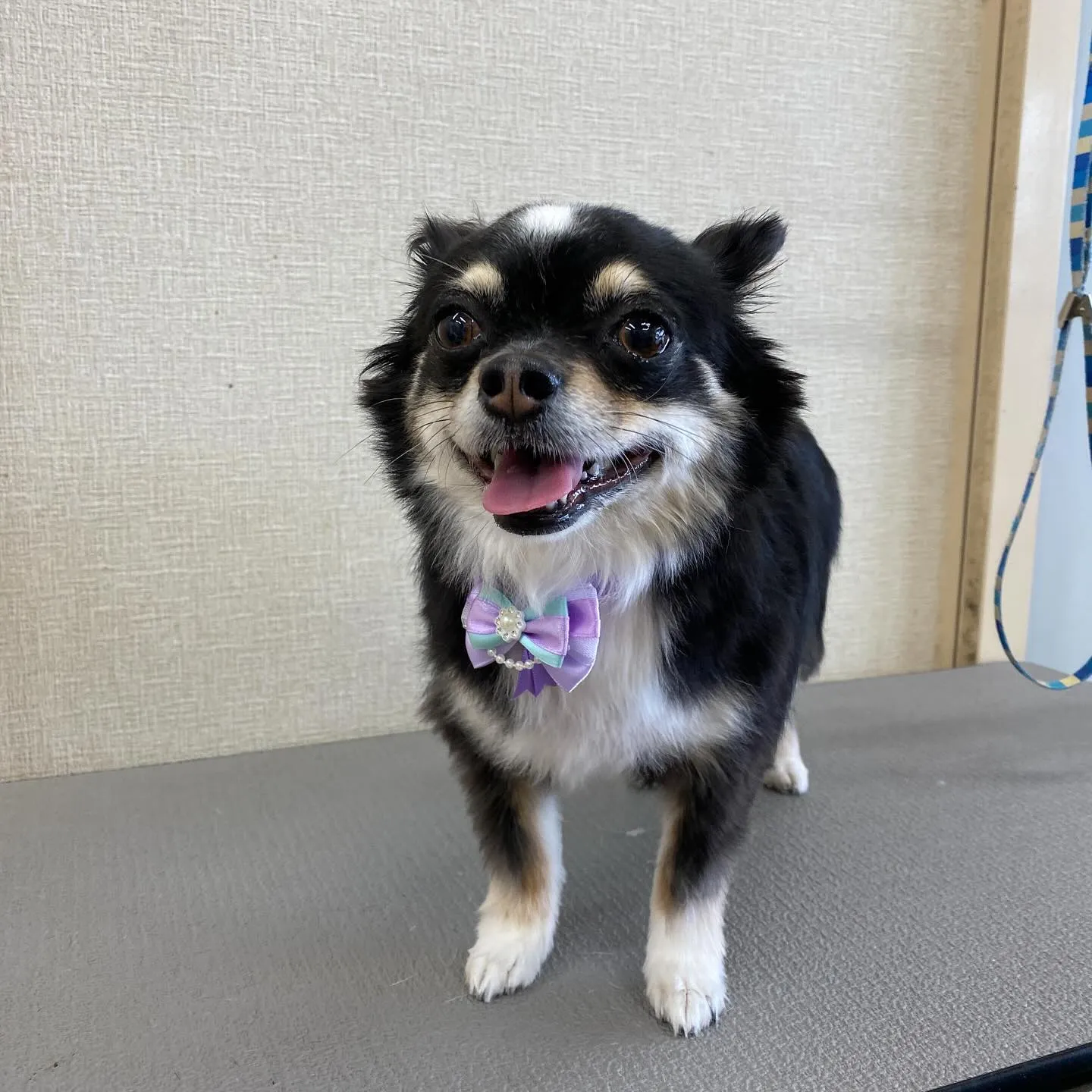 かんなちゃん🍬