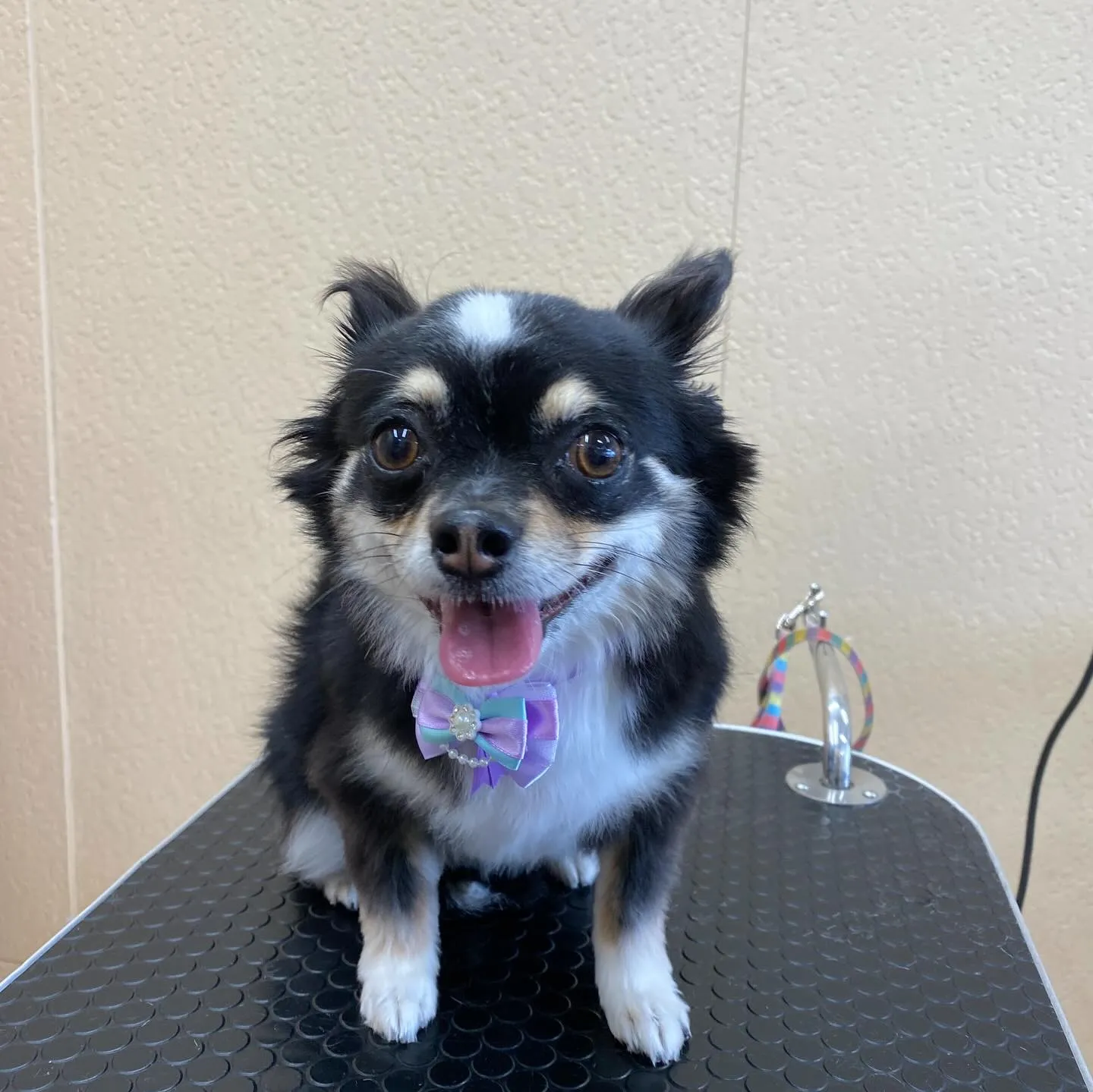 かんなちゃん🍬