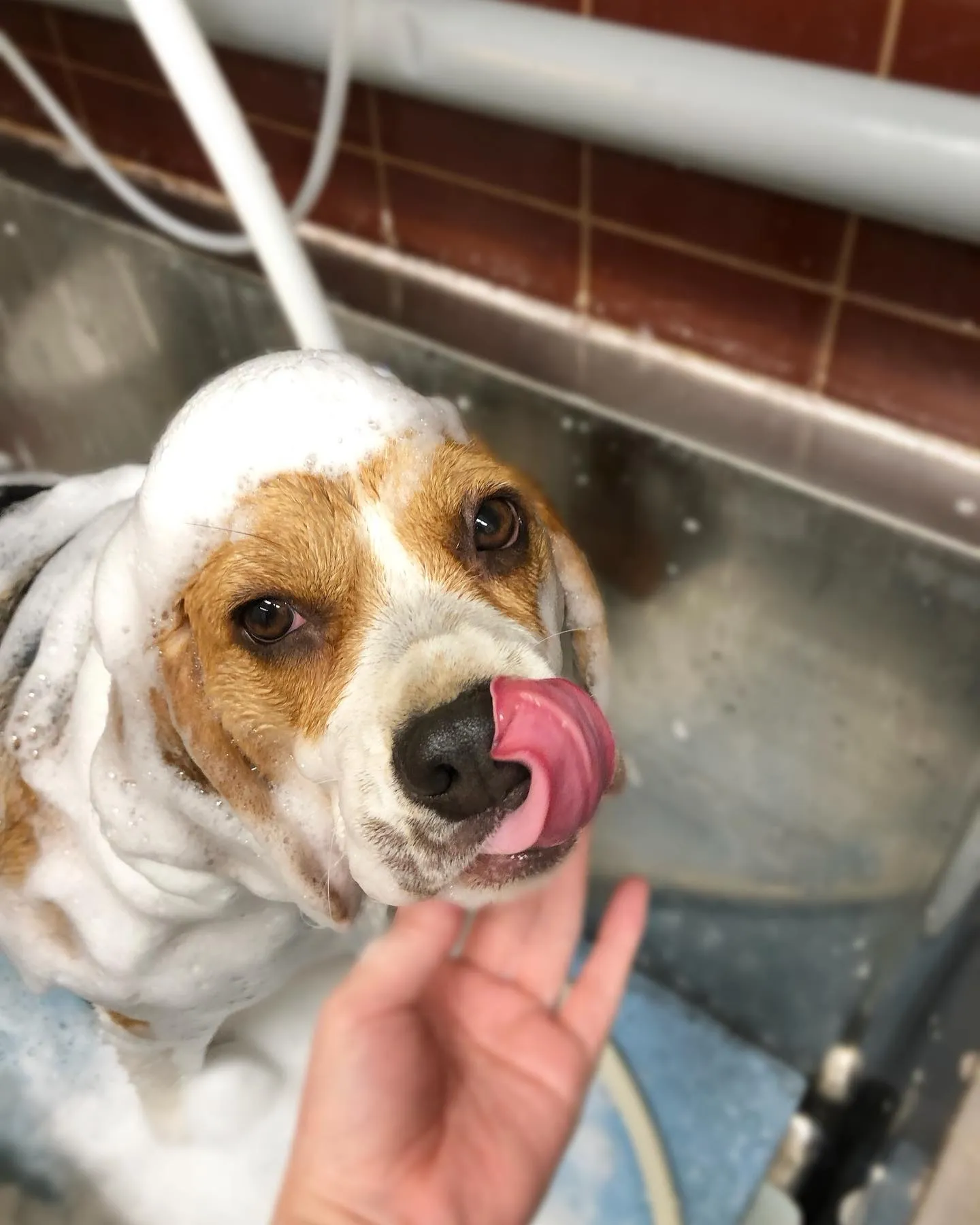 ヴェルちゃん💜