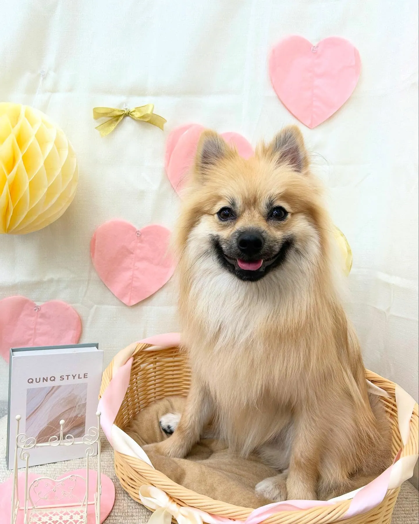 クロくん︎💕︎