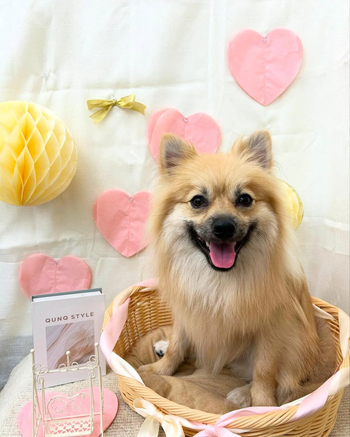 クロくん︎💕︎