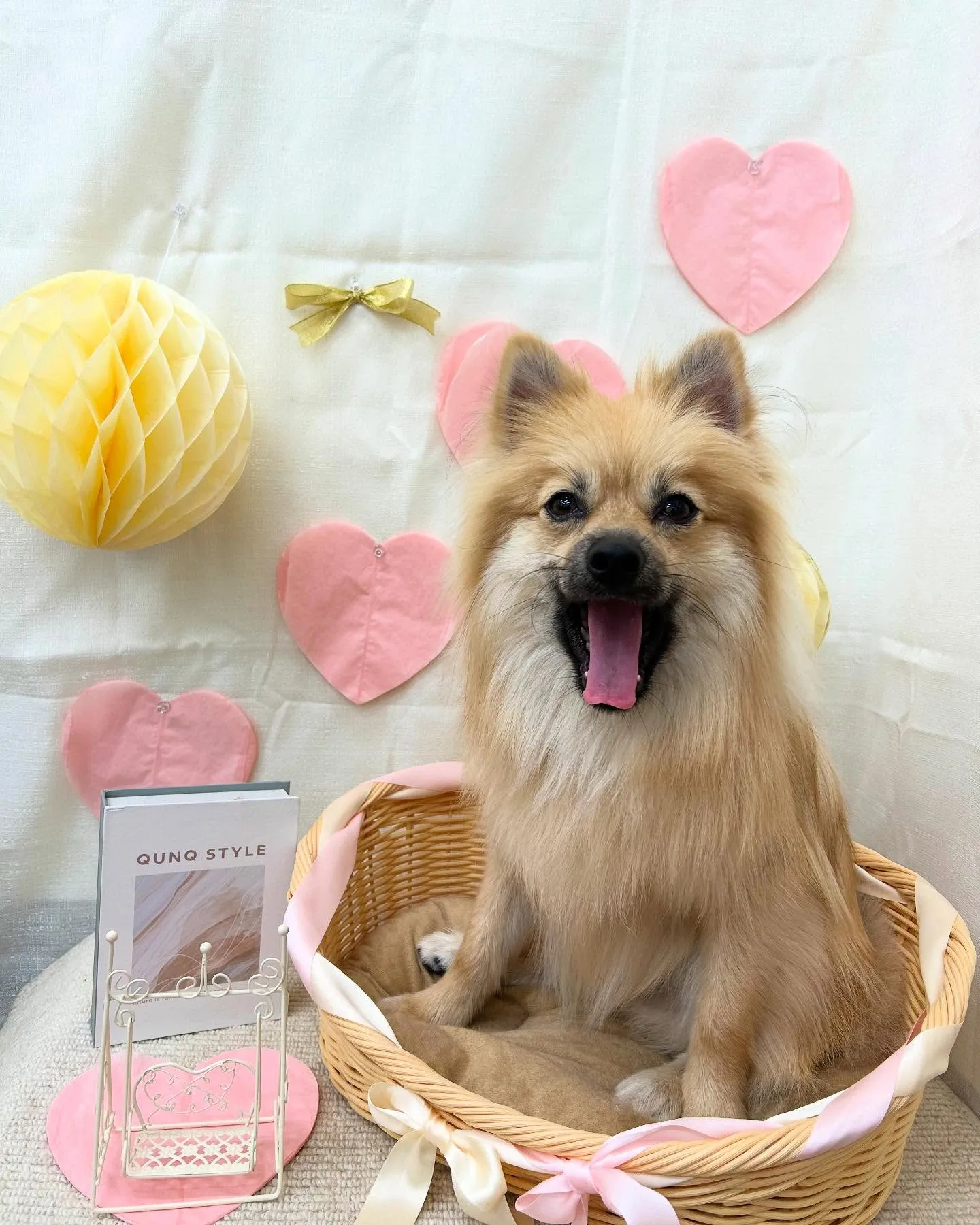 クロくん︎💕︎