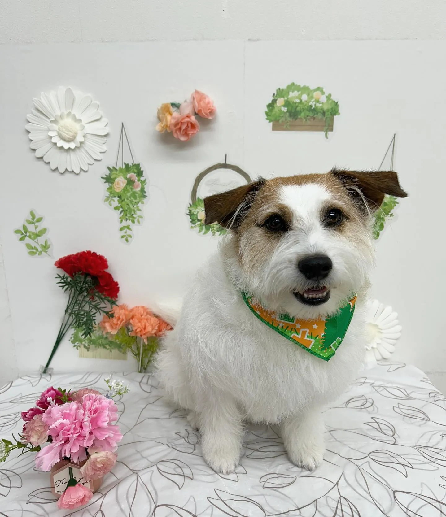 フレアちゃん💗