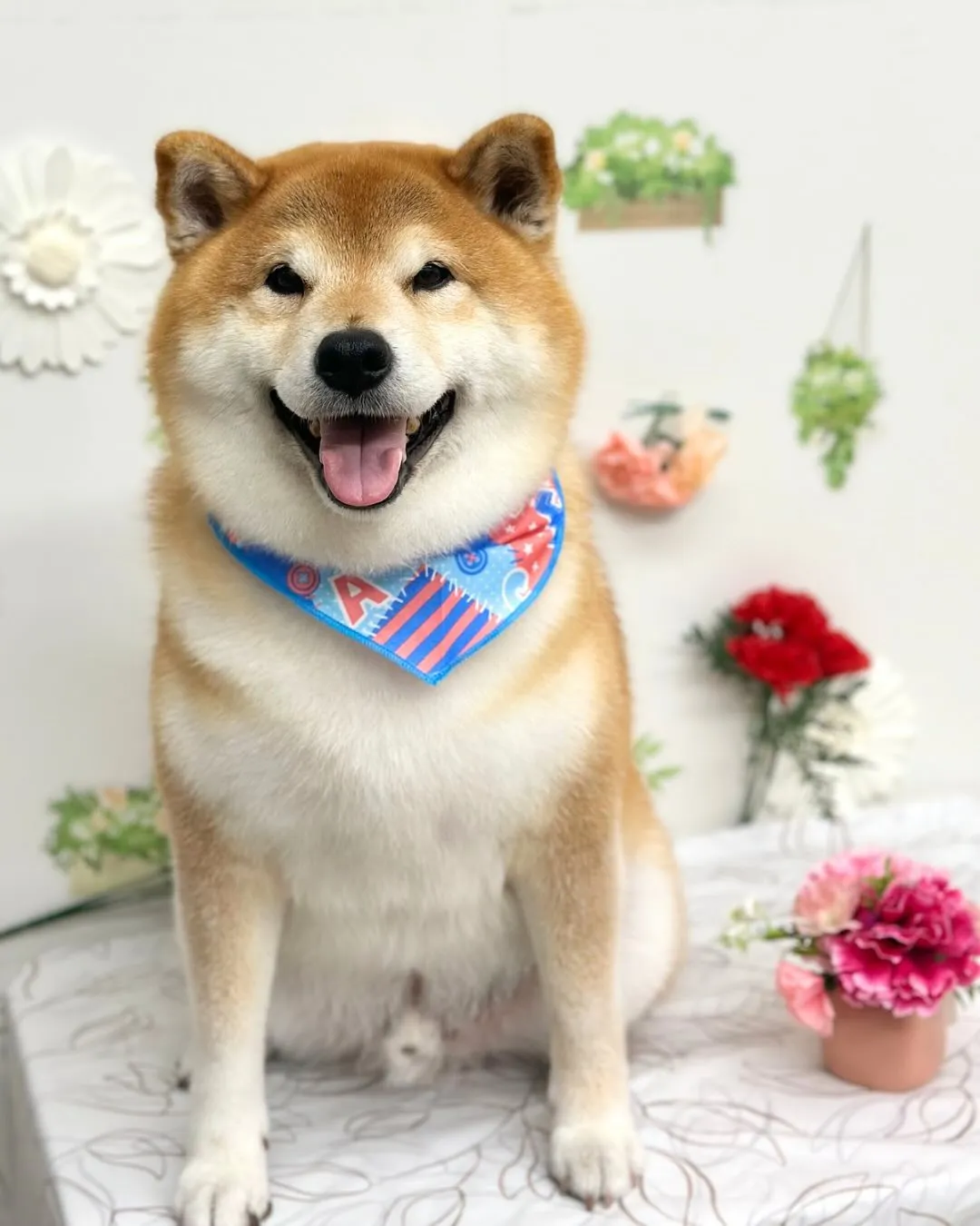 🍀まめくん🍀