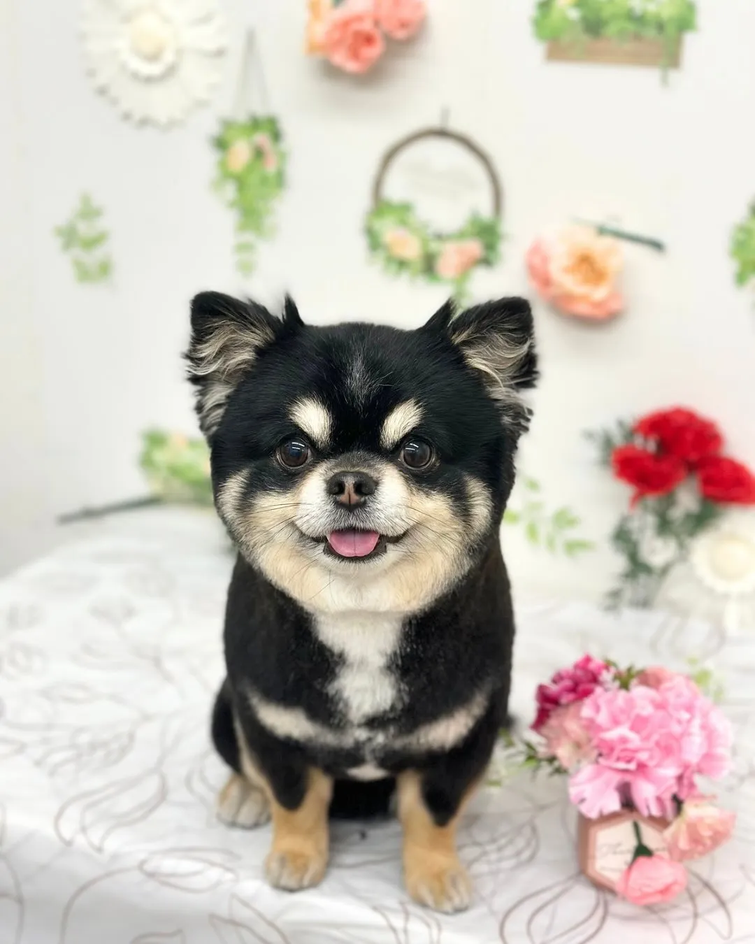 🍀りんくん🍀