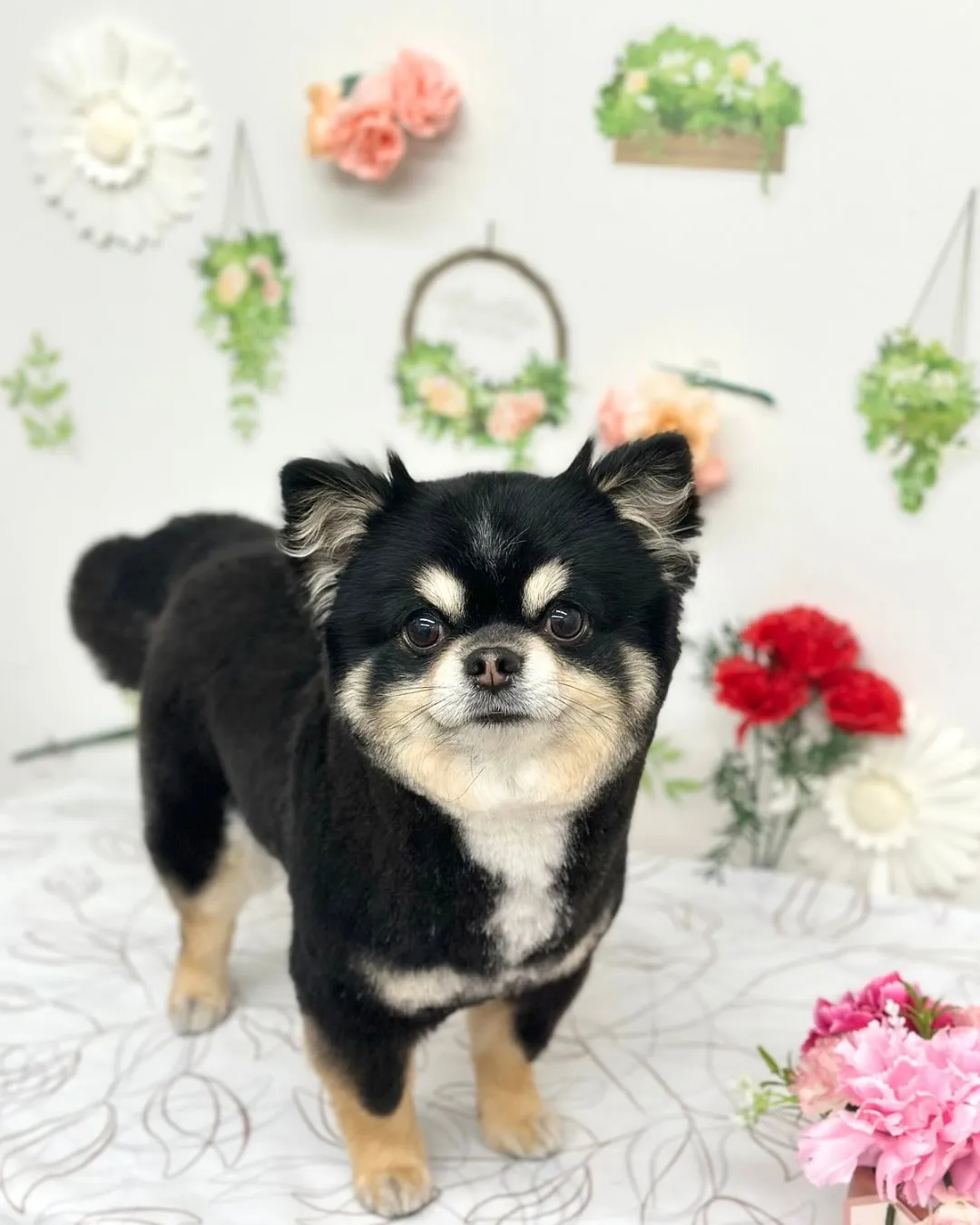 🍀りんくん🍀