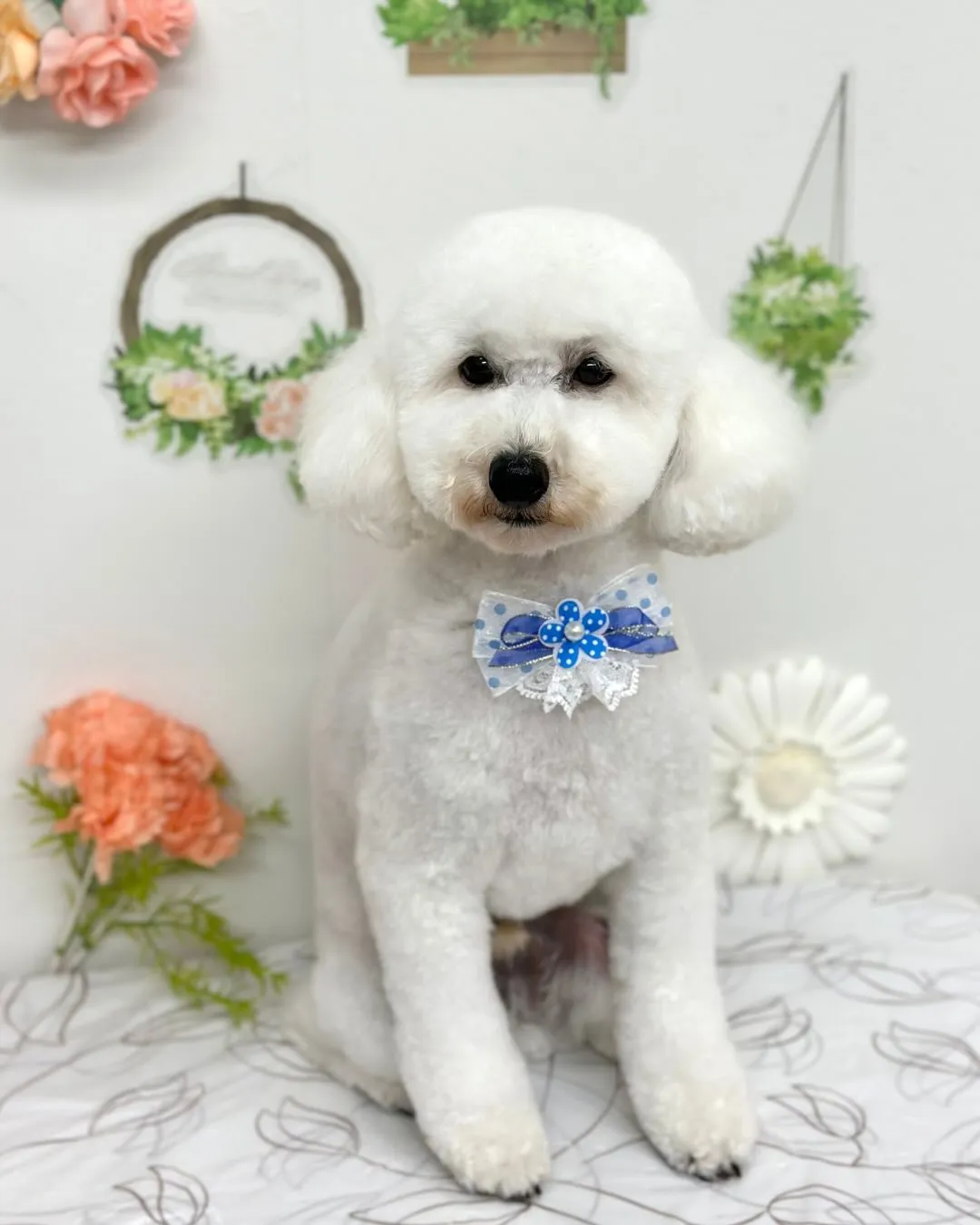 🍀そらくん🍀