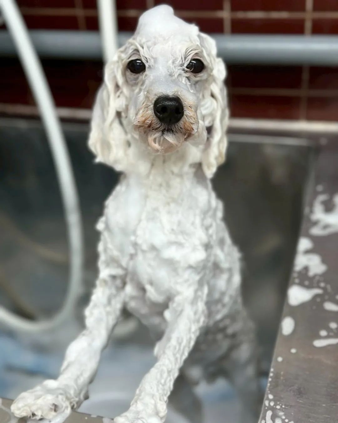 🍀そらくん🍀