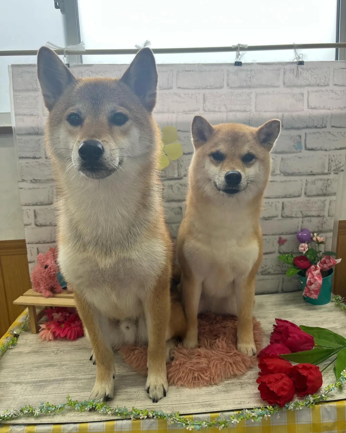 ロイくん💕リリちゃん💕