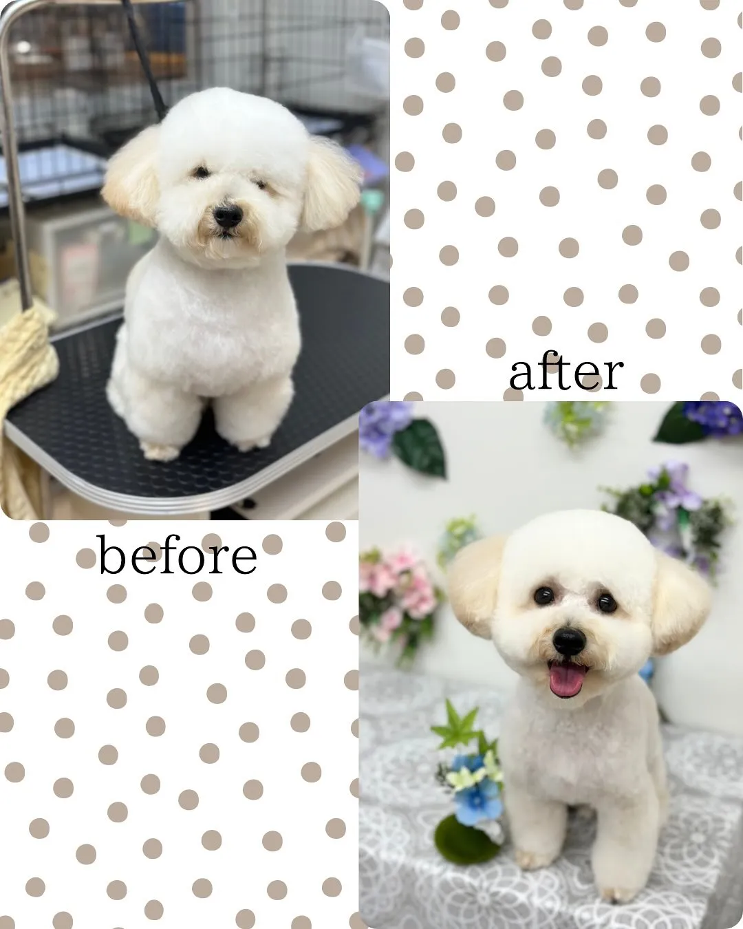 💠ロアくん💠