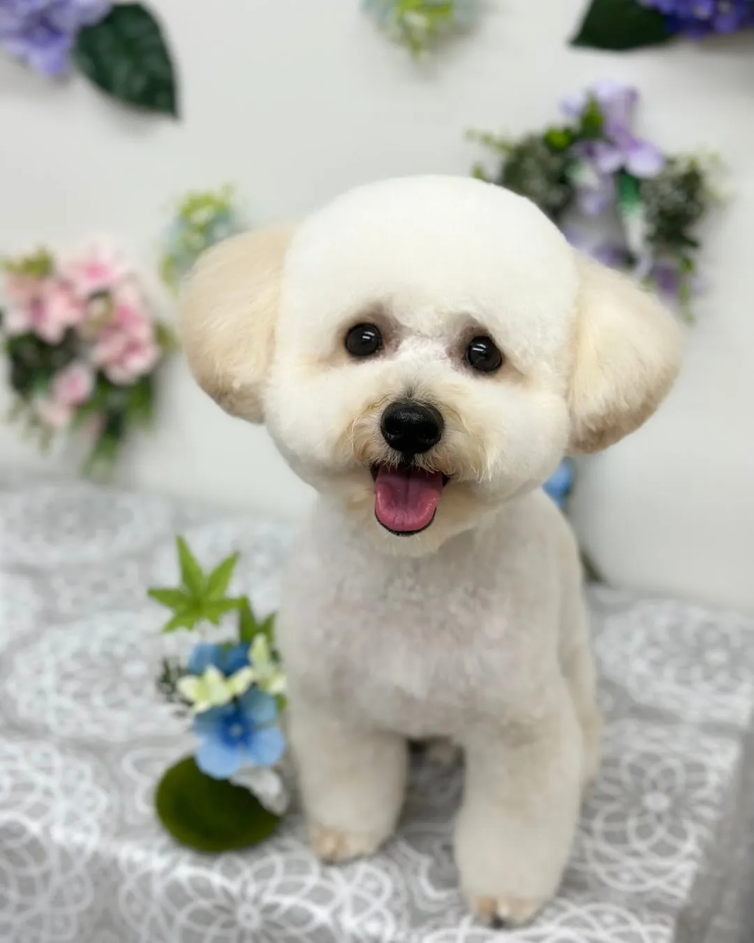 💠ロアくん💠