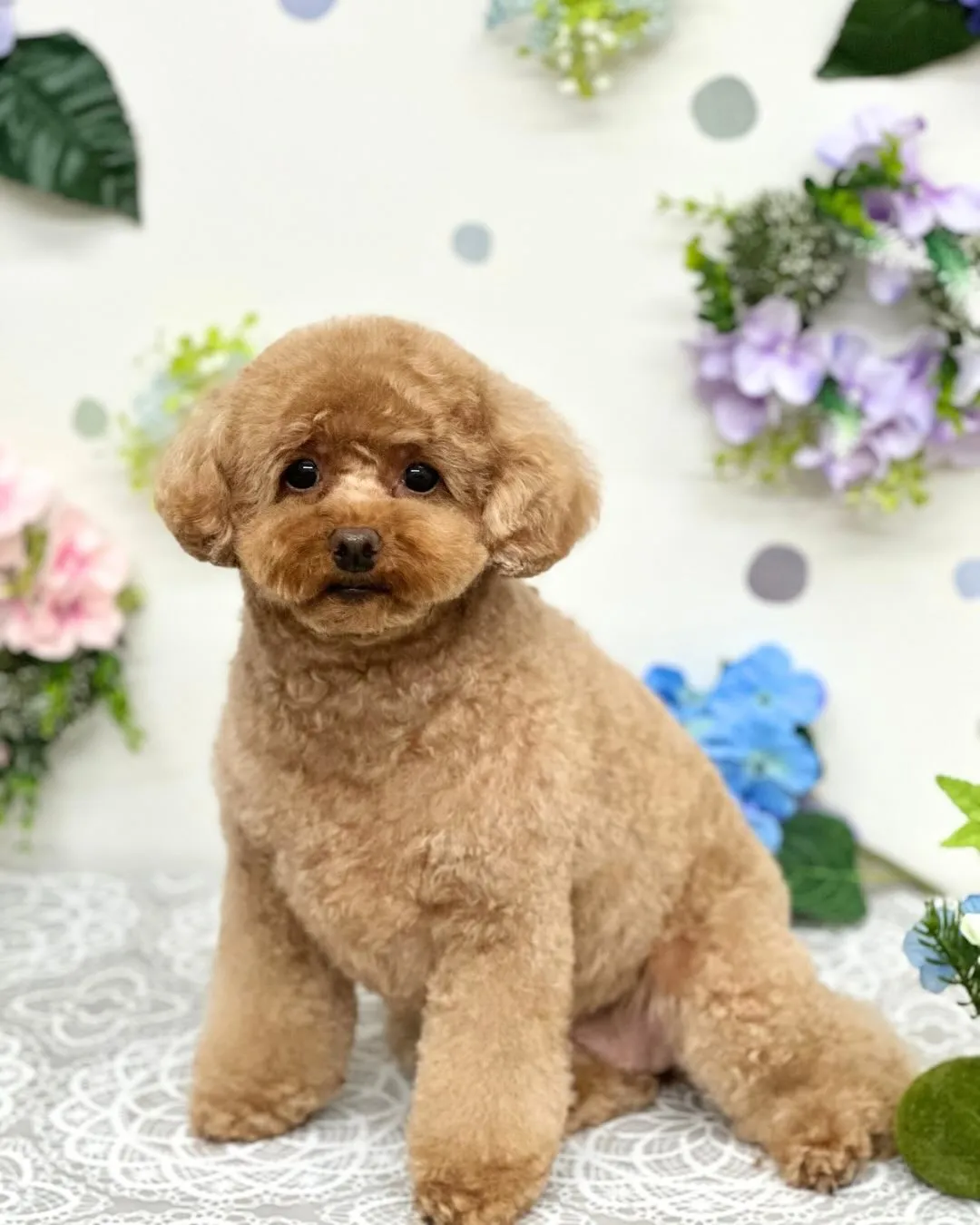 💠ここちゃん・なぎくん💠