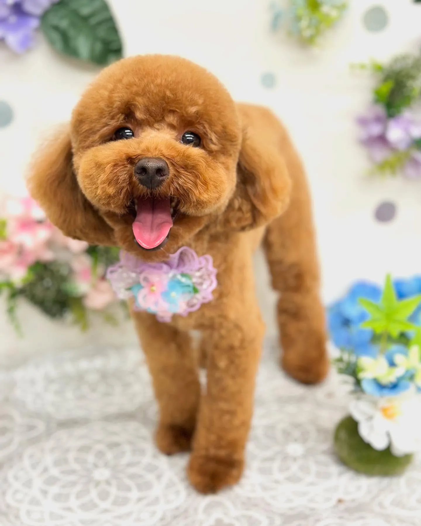 ビビちゃん🧸🪻