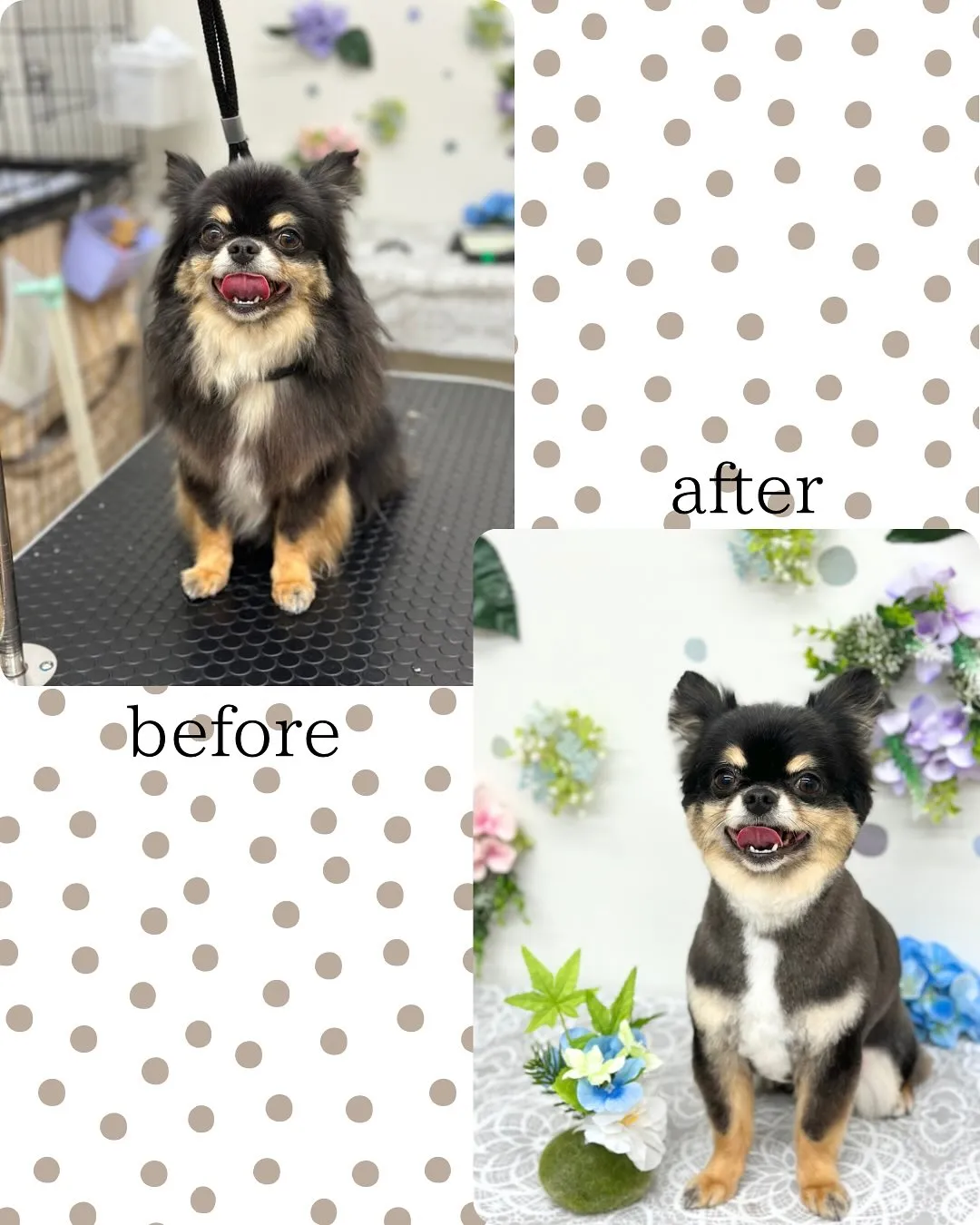 💠トイくん💠