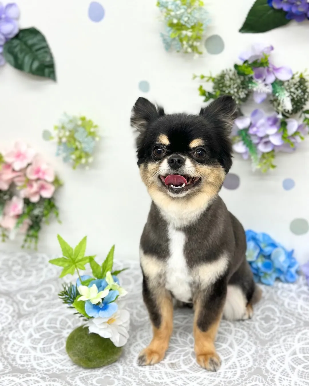 💠トイくん💠