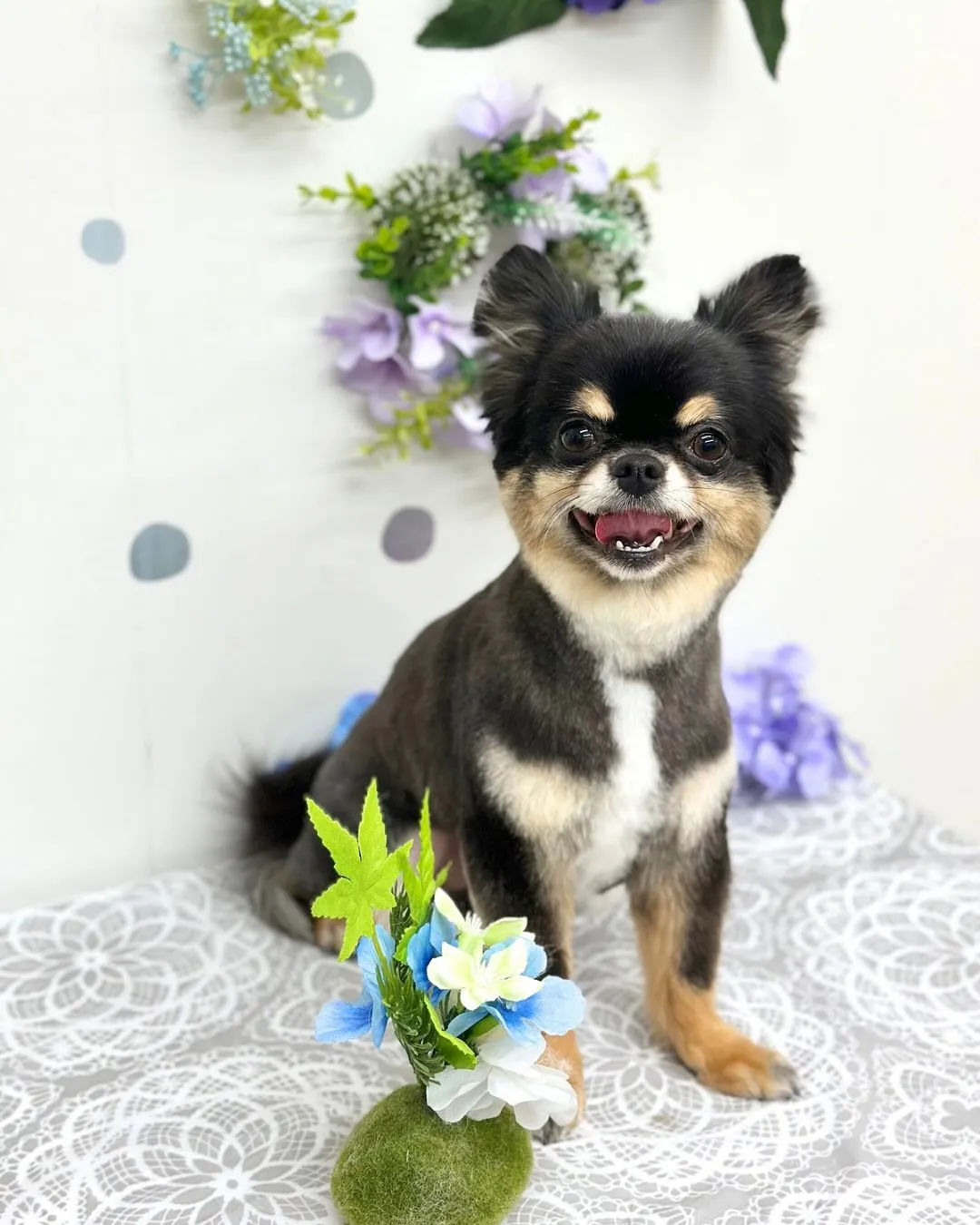 💠トイくん💠